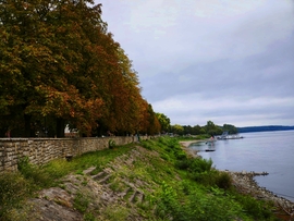 Vác