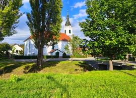 Diósjenő
