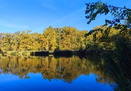 Vác