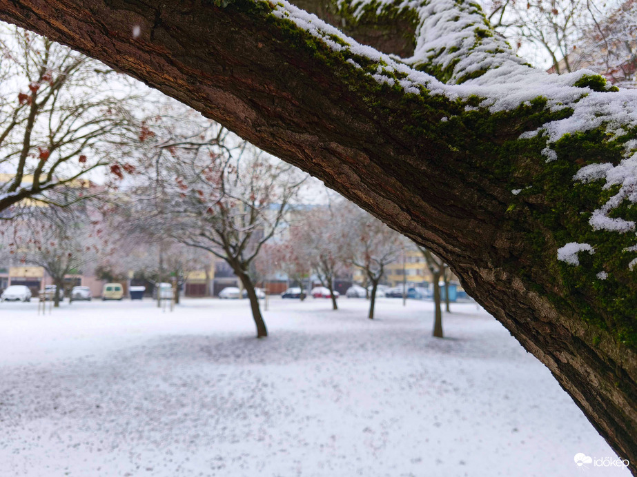 Észlelési fényképek