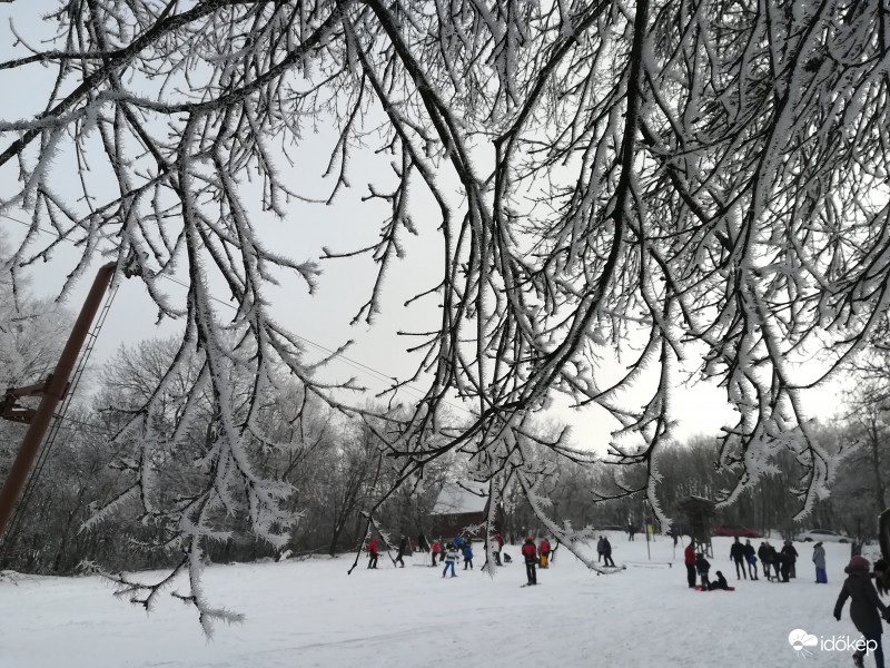 2019.01.12 Tokaj Nagy Kopasz hegy 11-12 cm hó