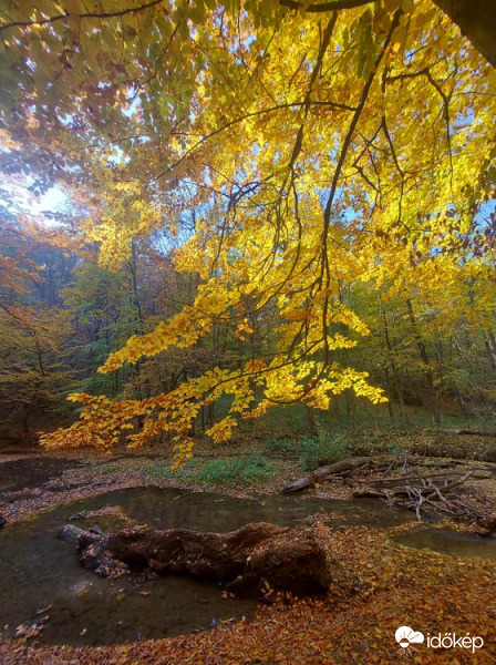 Galya patak völgye 10.31 -én