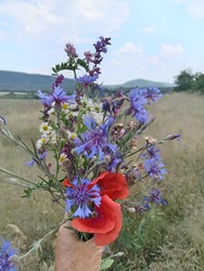 lakatildi fotója