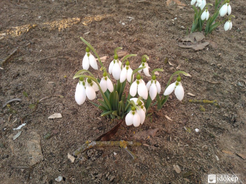 Nyíregyháza Jön a tavasz :)