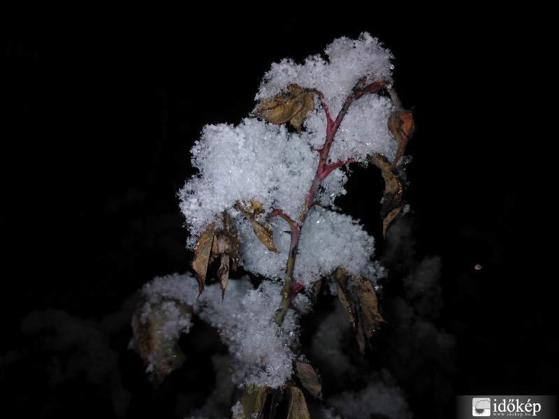 Nyíregyháza tegnap este