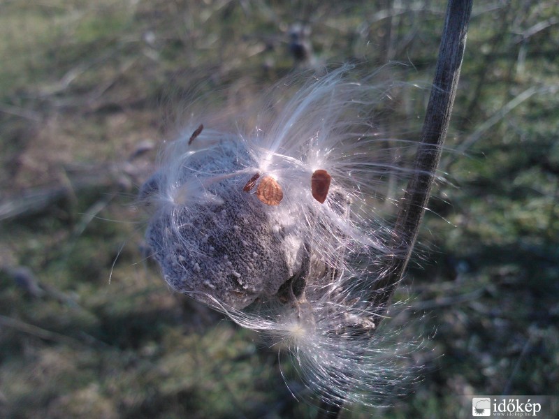 Tegnapi kiruccanás :)