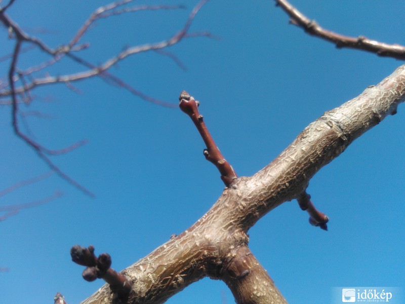 Tegnapi kiruccanás :)