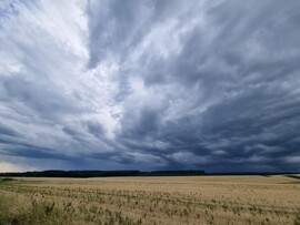 Pölöske
