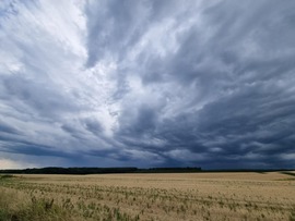 Pölöske