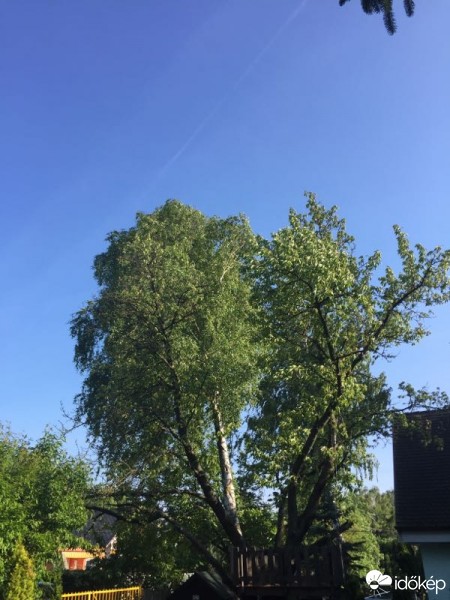 Észlelési fényképek