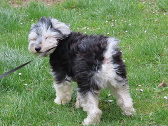 Nem szeretem a szelet!