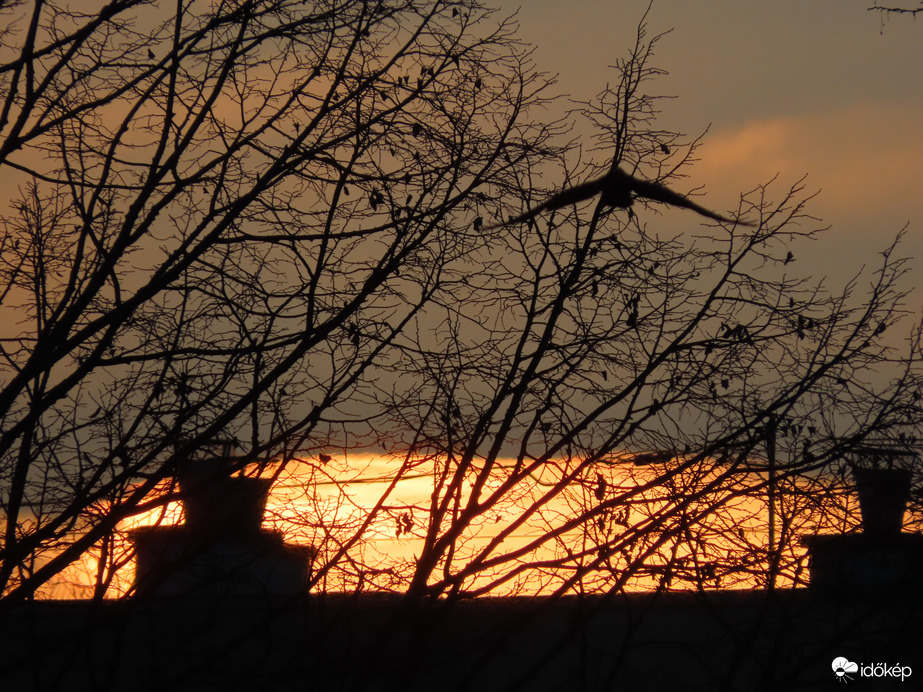 Napkelte a házak felett