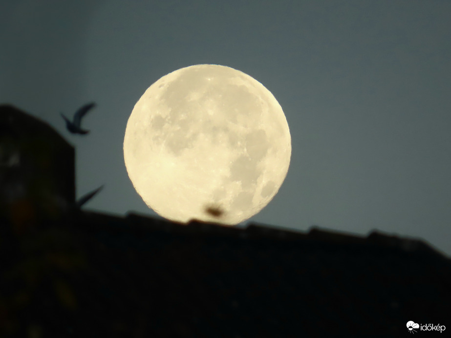 Reggelre elfáradtam! Megpihenek egy pillanatra!