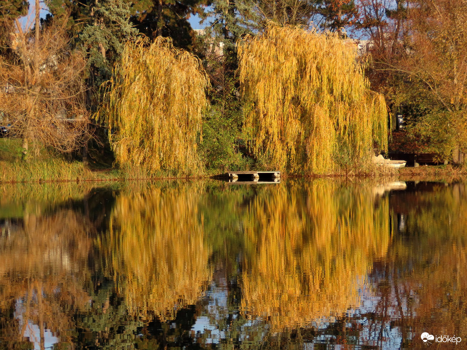 Tükörbe néztek a fűzfák