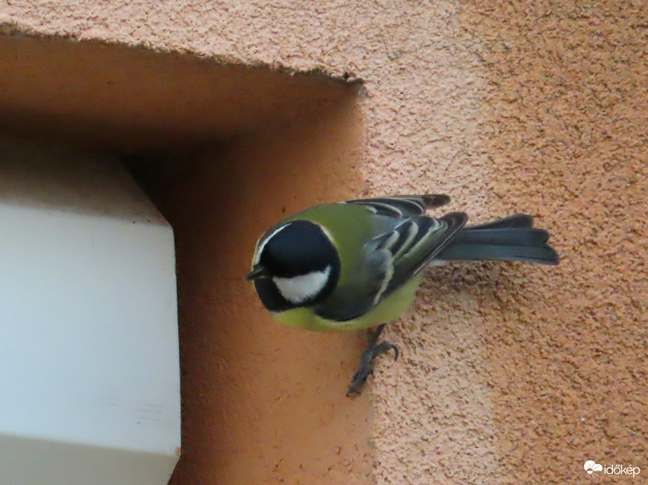 Mutatom, hol éjszakáztam!