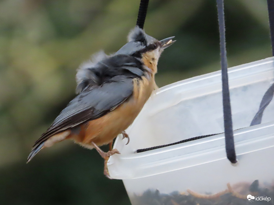Mindjárt elvisz a szél!