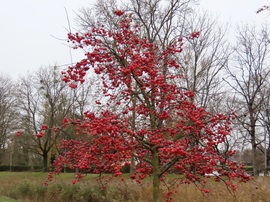 Szín a szürkeségben
