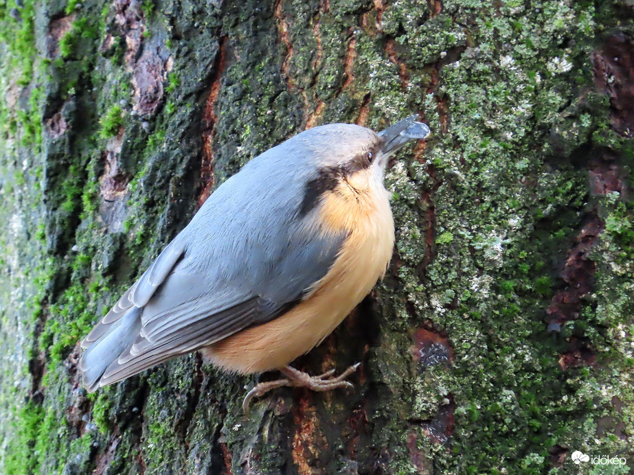 Itt nem zavar senki!