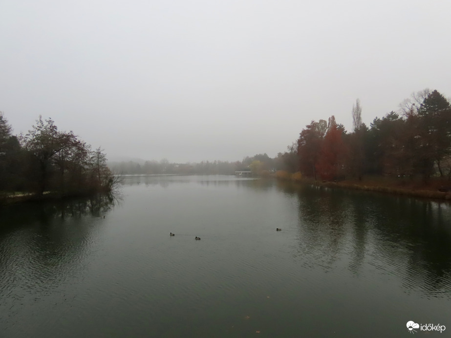 A tegnapi táj ma ködben