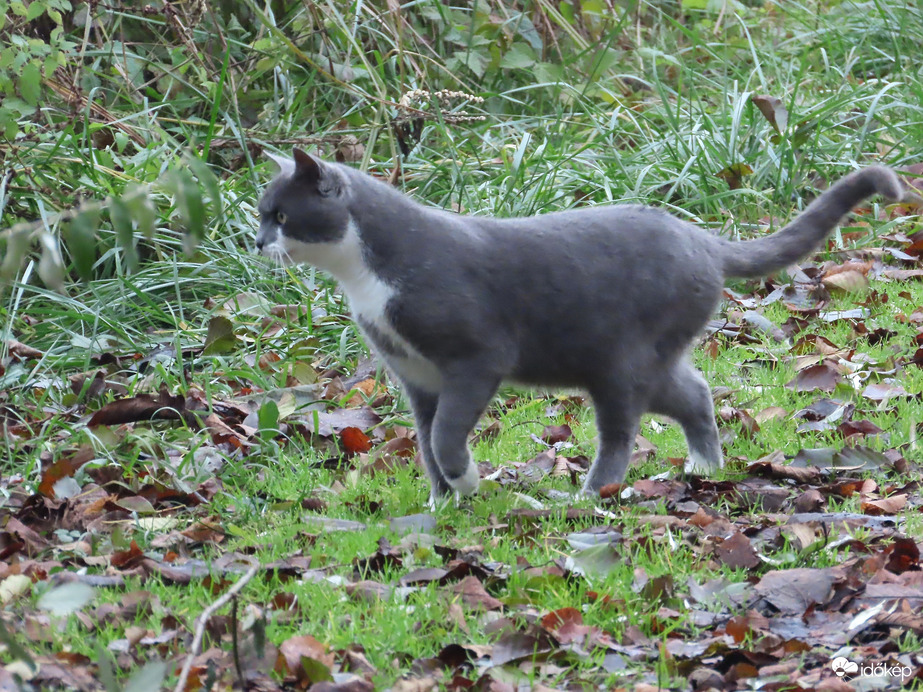 Vadászni indulok a tópartra