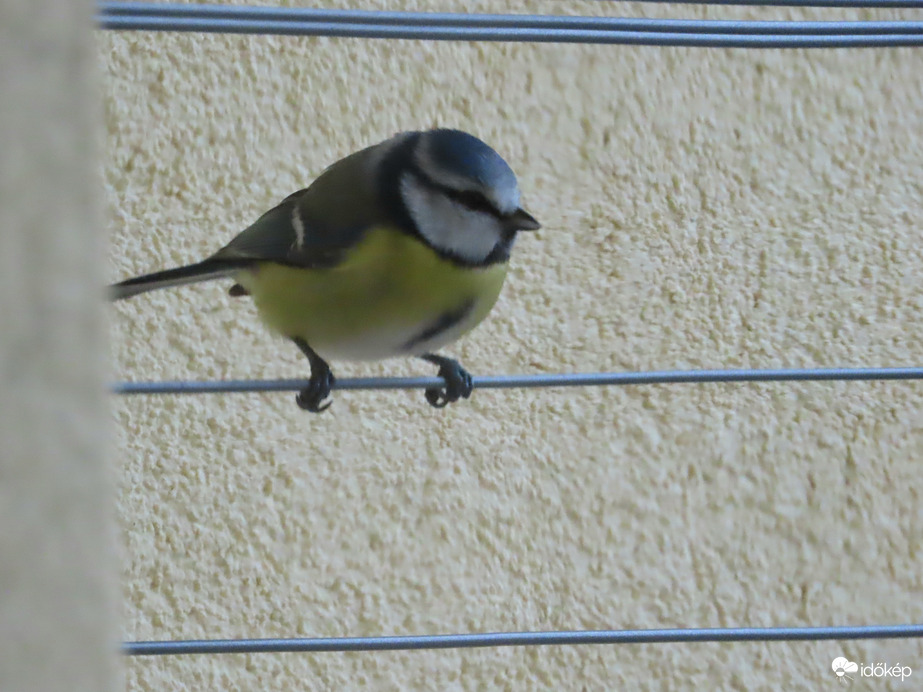 Most pihenőt tartok!
