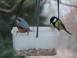 Nagy a forgalom a sziget etetőjén