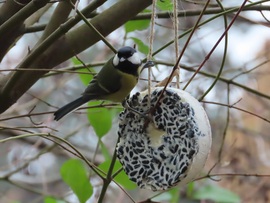 Nézzétek, mit kaptunk!