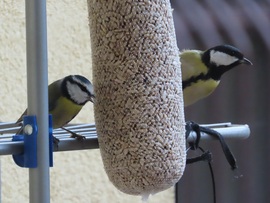 Nagy a délutáni sürgés-forgás 2.