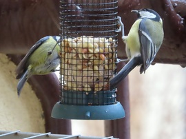 Nagy a délutáni sürgés-forgás 1.