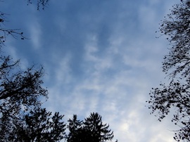 Felnéztem a magasba