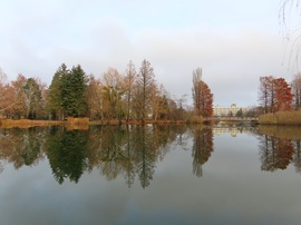 Mozdulatlan víztükör