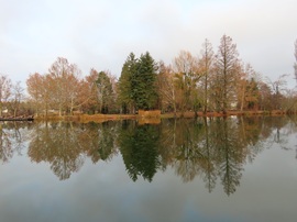 A Csónakázó-tó szigete tükörben