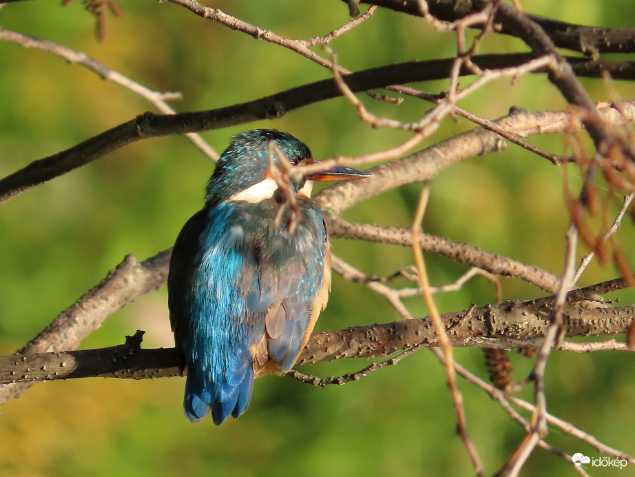 A hátamat is nézd meg!