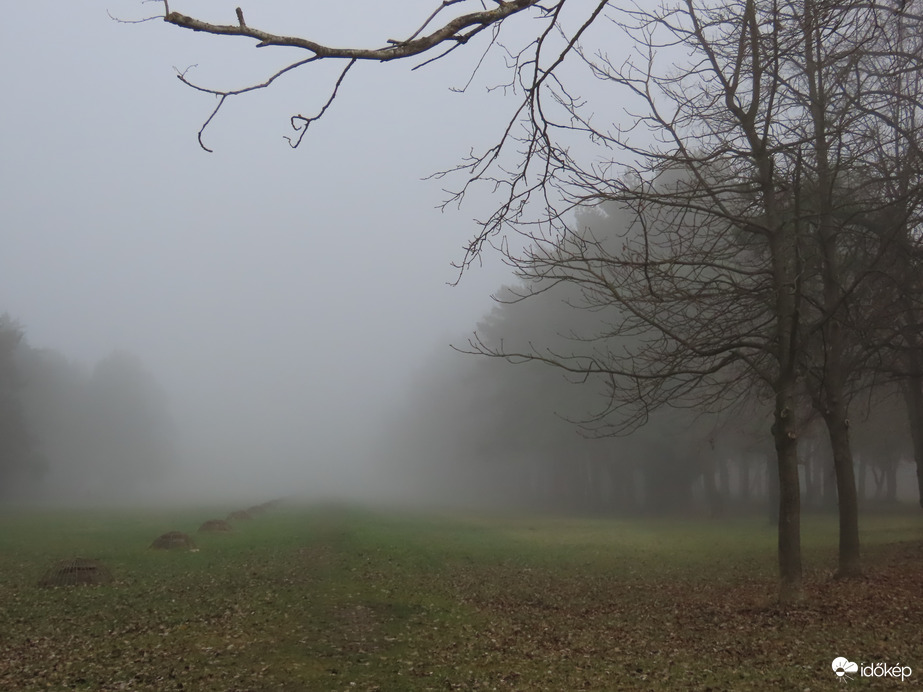 Hirtelen ereszkedett le a köd 1.