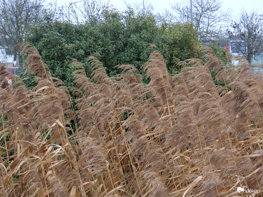 Megélénkült a szél