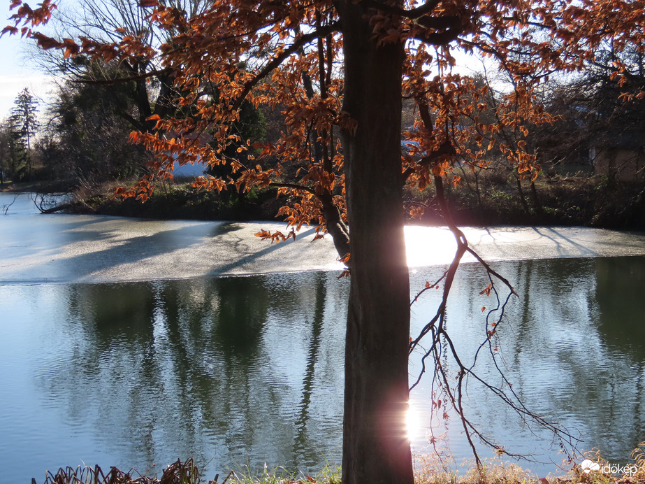 Árnyékok jégen és vízen