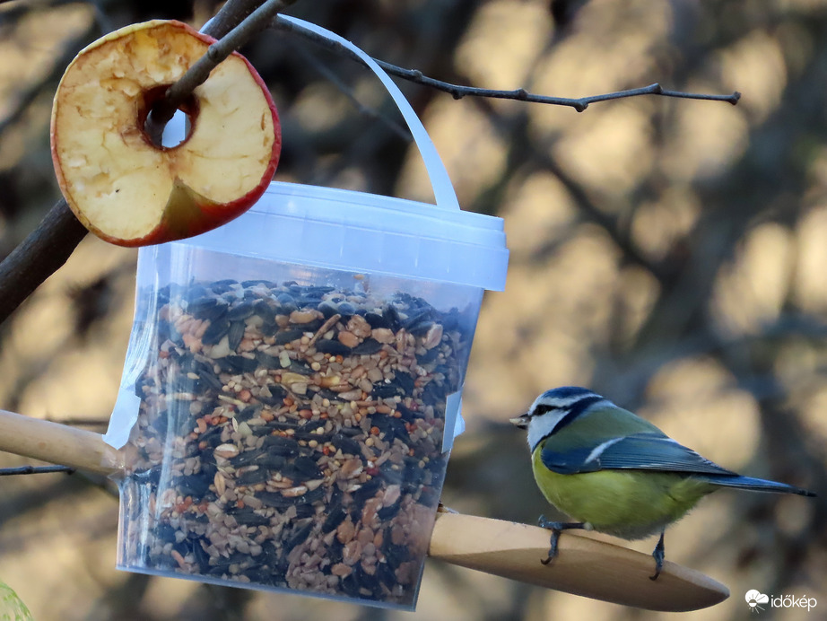 Én is innen viszek!