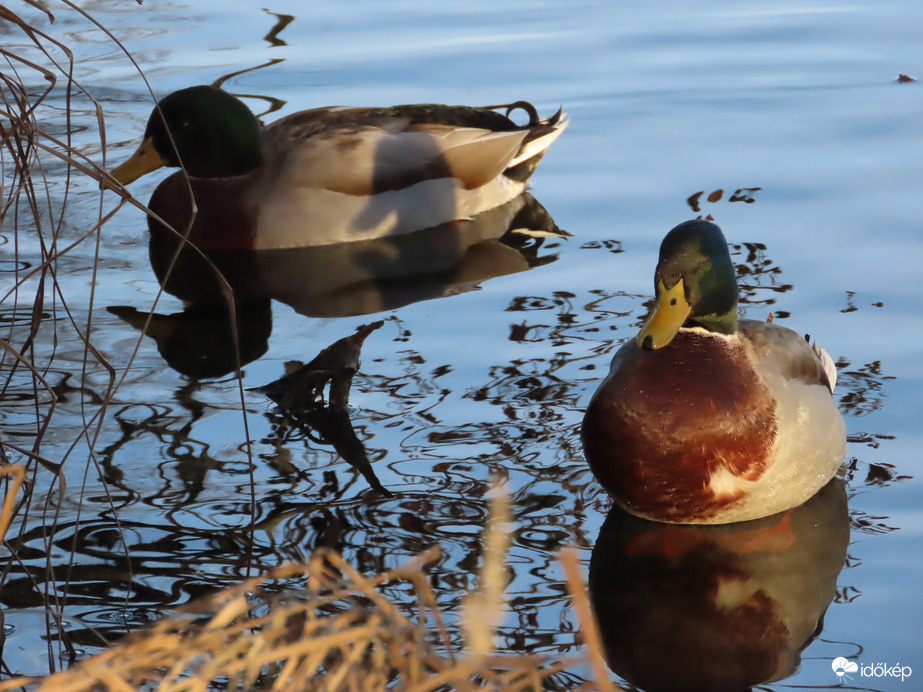 Árnyék és fény játéka