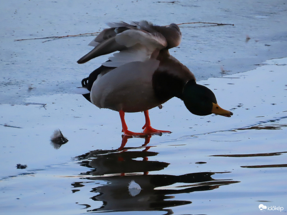 Nyújtó gyakorlatok