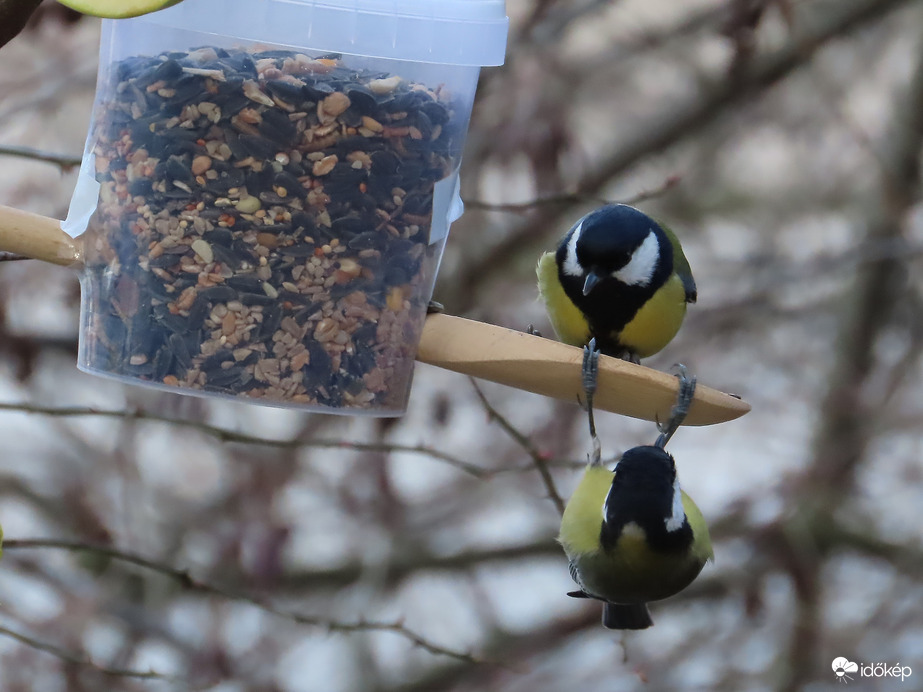 Várakozás függeszkedve