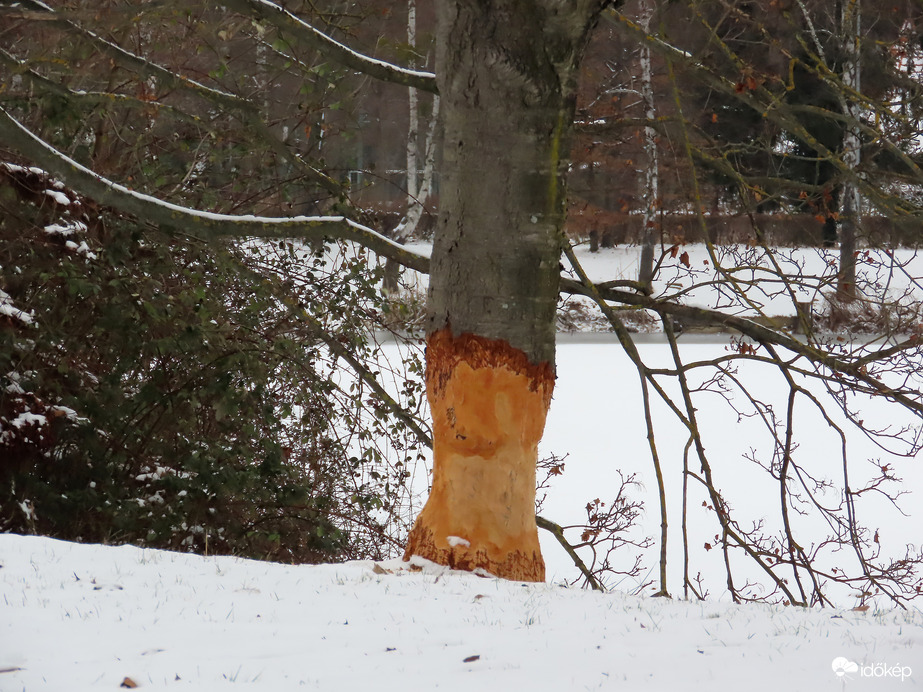 Ezt még csak körberágta...