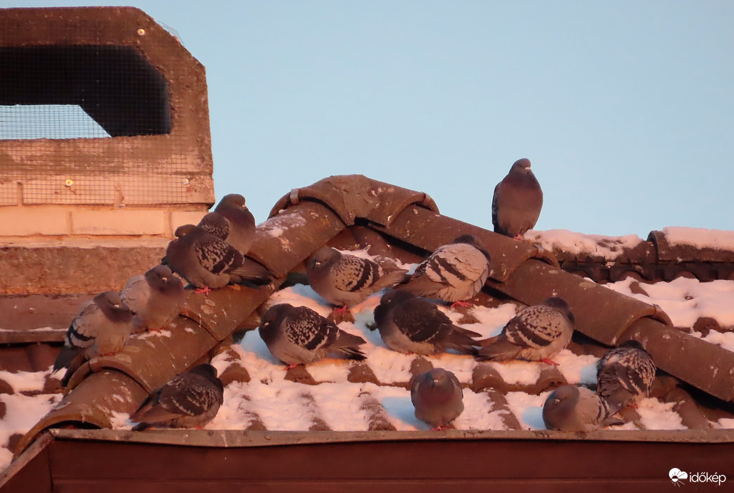 Gyülekező a napsütötte havas tetőn