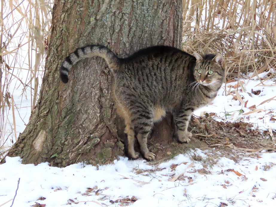 Meneküljek, vagy maradjak?