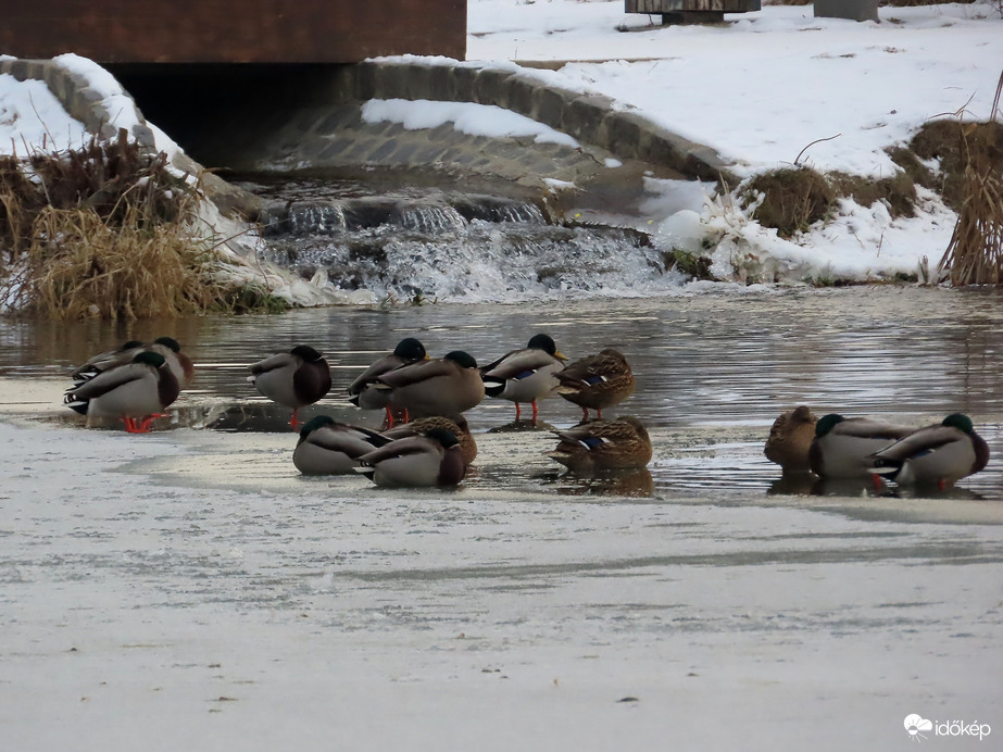 Egyre kisebb a vízfelület a csobogónál