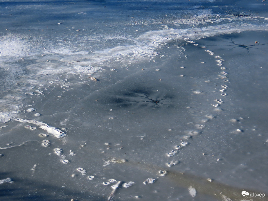 "Ki" járhatott itt?