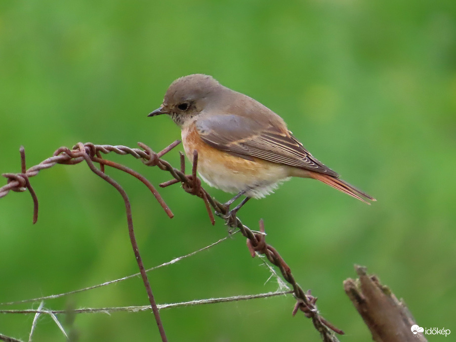 Megnézem, hova lépek!