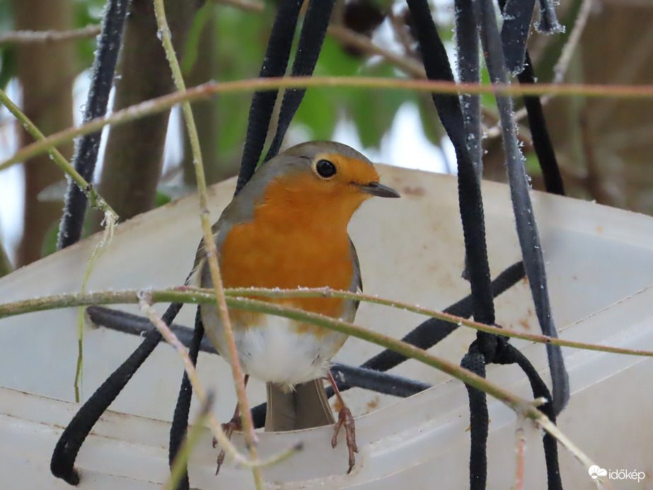 Körülnéztem a dobozban!