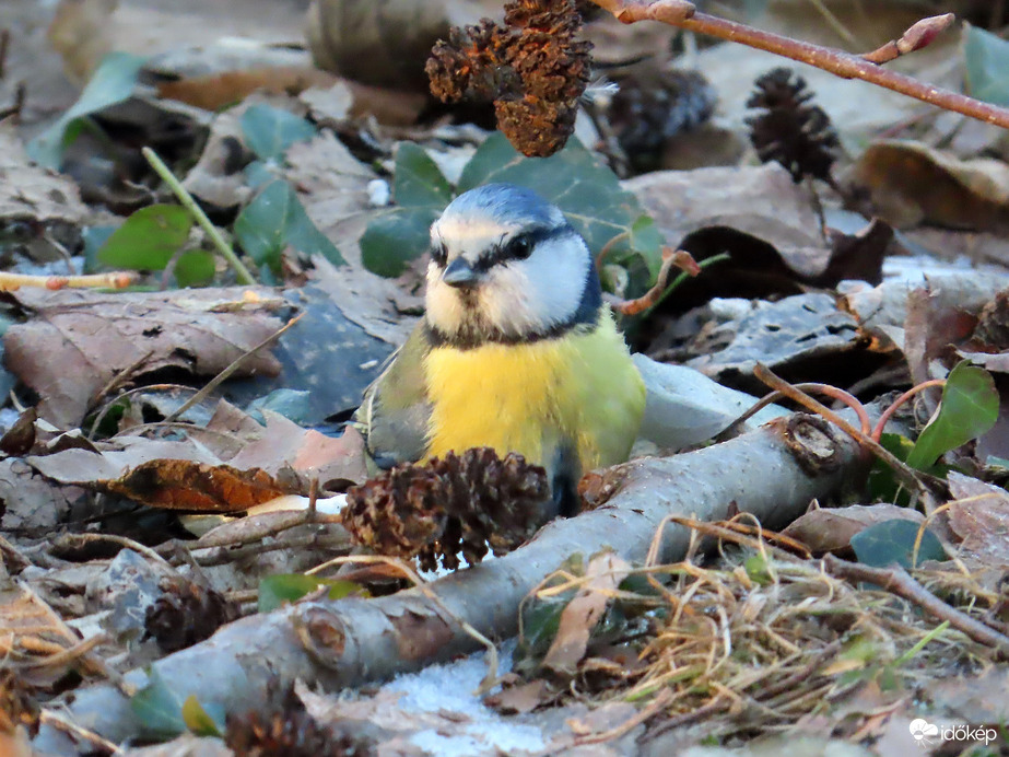 A talajon is körülnézek!