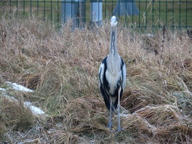 Szemből is megnézhetsz!