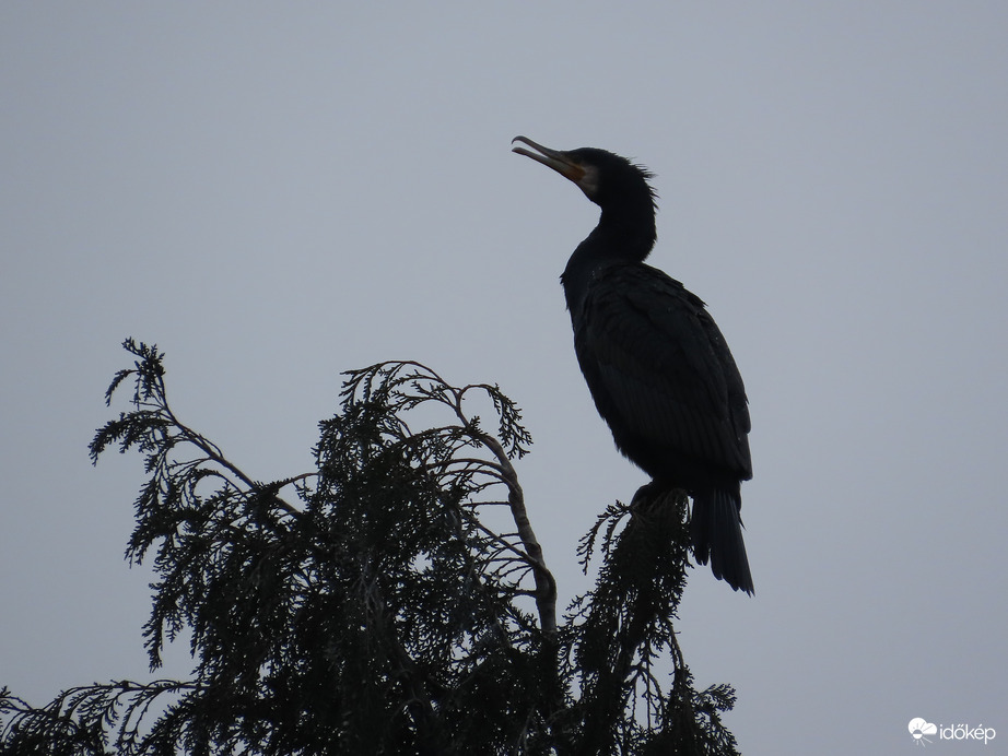 Sikerült megkapaszkodnom!